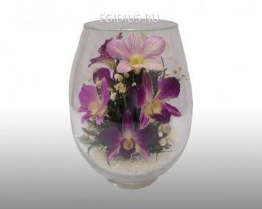Цветы в стекле: Композиция из орхидей (арт.VSO/VMO)  200-060 — Egidius.ru