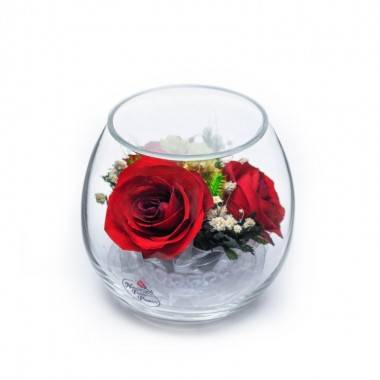 Композиция из красных роз (арт. BmiR2) в подарочной упаковке 200-325 — Egidius.ru