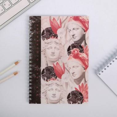 Ежедневник &quot;Вся такая осознанная&quot; А5, 60 листов 801-227 — Egidius.ru