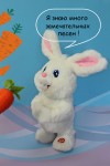 Музыкальная поющая и танцующая мягкая игрушка Заяц, символ года 2023 кролик, кот 26 см детские песни 280-913 фото 7 — Egidius.ru