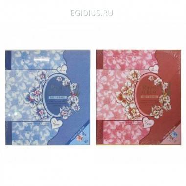 Фотоальбом (300 страниц 10х15 см), L31 W1 H34 см, 2 в. 81-0257 — Egidius.ru