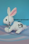 Музыкальная поющая и танцующая мягкая игрушка Заяц, повторюшка, символ года 2023 кролик, кот 26 см 280-914 фото 2 — Egidius.ru
