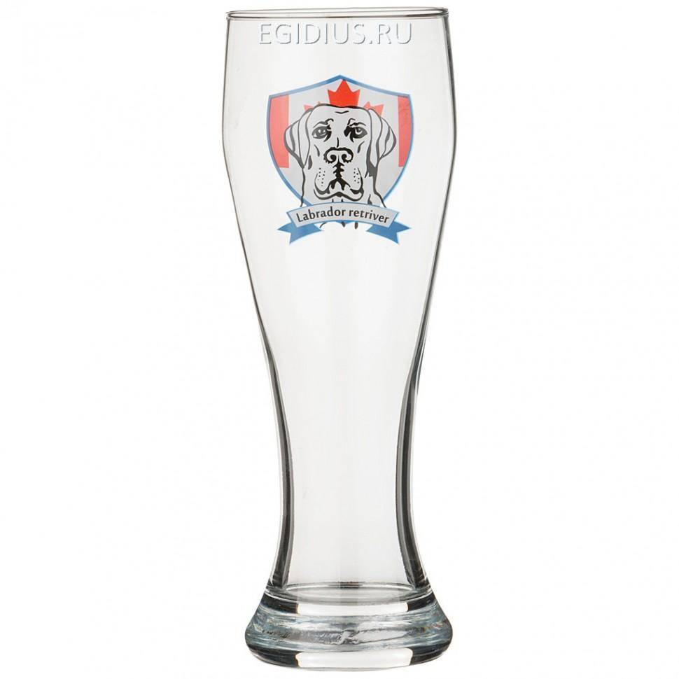 Бокал для пива "лабрадор" 500 мл.без упаковки   332-264 фото 1 — Egidius.ru