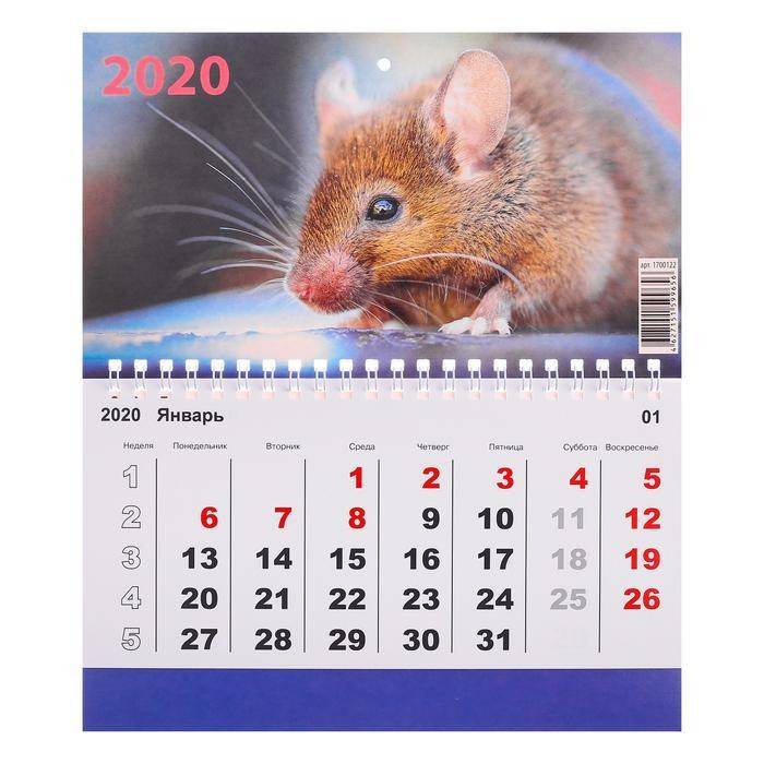 Календарь моно "Символ года-12" 2020 год, 20 х 12 см 813-196 фото 1 &mdash; Egidius.ru