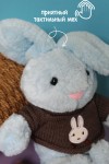 Мягкая игрушка Кролик в кофте 26см, символ года 2023, кот/кролик, плюшевая игрушка 3аяц, зайка 281-451 фото 2 — Egidius.ru