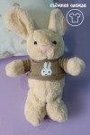 Мягкая игрушка Кролик в кофте 26см, символ года 2023, кот/кролик, плюшевая игрушка 3аяц, зайка 281-451 фото 8 — Egidius.ru