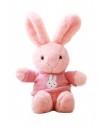 Мягкая игрушка Кролик в кофте 26см, символ года 2023, кот/кролик, плюшевая игрушка 3аяц, зайка 281-451 фото 13 — Egidius.ru