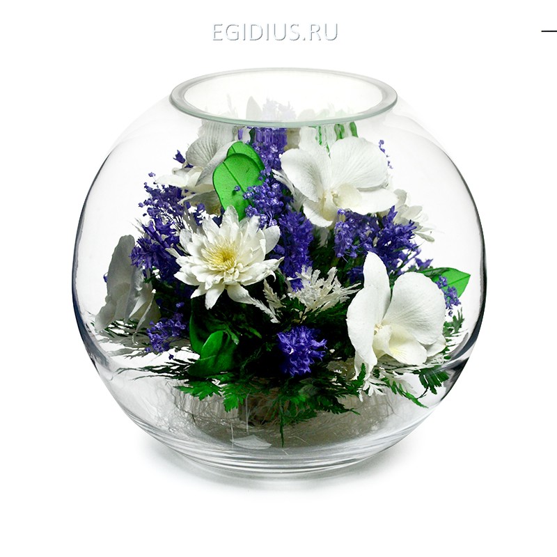 Композиция из натуральных орхидей (арт. BNM5) в подарочной упаковке 200-327 фото 1 — Egidius.ru