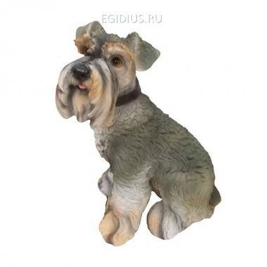 Фигура для сада Миттельшнауцер L24W30H40 cm 81-6236 — Egidius.ru