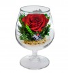 Цветы в стекле: Композиция из красной розы (арт. GSR2) в подарочной упаковке 200-047 фото 1 — Egidius.ru