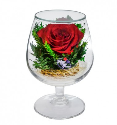 Цветы в стекле: Композиция из красной розы (арт. GSR2) в подарочной упаковке 200-047 — Egidius.ru