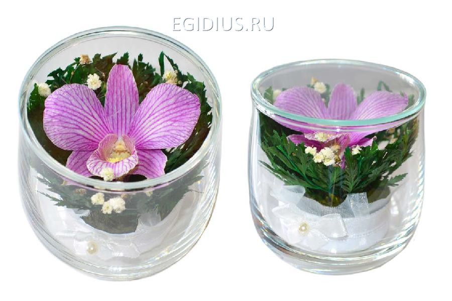 Цветы в стекле: Композиция из натуральной орхидеи 200-068 фото 1 — Egidius.ru