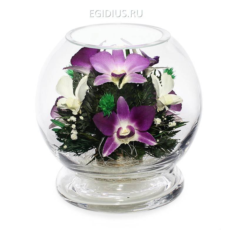 Цветы в стекле: Композиция из натуральных  орхидей 200-126 фото 1 &mdash; Egidius.ru