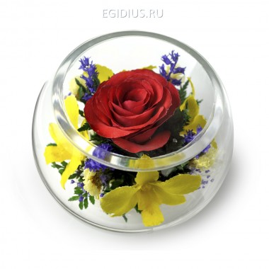 Композиция из роз и орхидей (арт. BSM4) 200-329 — Egidius.ru