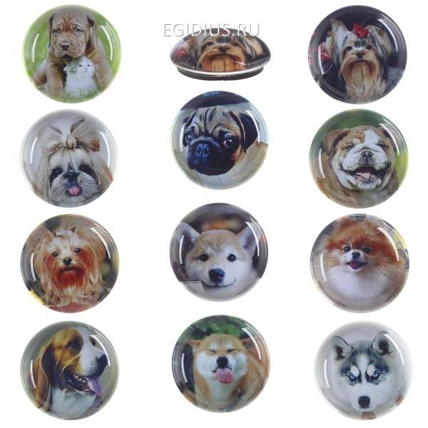 Магнит Собачка, 3.5x3.5 см, 12в. 81-3897 фото 1 &mdash; Egidius.ru