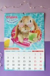 Перекидной настенный календарь на ригеле на 2023 год "Символ Года - кролик/кот/заяц  34*49см 281-457 фото 6 &mdash; Egidius.ru