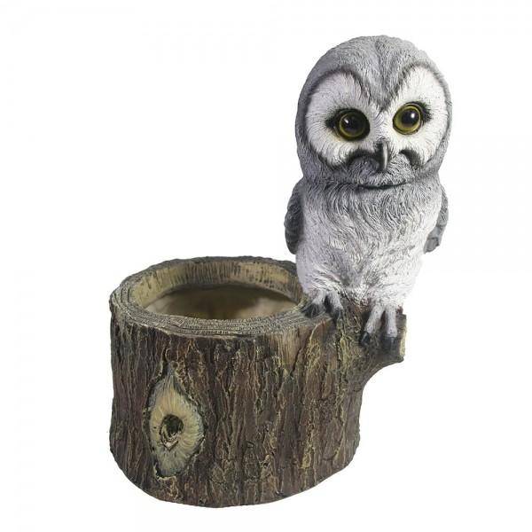 Декоративное кашпо "Сова на пне" L18W24H26 81-6702 фото 1 — Egidius.ru
