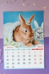 Перекидной настенный календарь на ригеле на 2023 год "Символ Года - кролик/кот/заяц  34*49см 281-458 фото 2 &mdash; Egidius.ru
