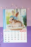 Перекидной настенный календарь на ригеле на 2023 год "Символ Года - кролик/кот/заяц  34*49см 281-458 фото 3 &mdash; Egidius.ru