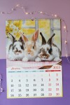 Перекидной настенный календарь на ригеле на 2023 год "Символ Года - кролик/кот/заяц  34*49см 281-458 фото 5 &mdash; Egidius.ru