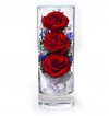 Цветы в стекле: Композиция из натуральных роз (арт. SLR) в подарочной упаковке 200-056 фото 1 — Egidius.ru