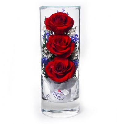 Цветы в стекле: Композиция из натуральных роз (арт. SLR) в подарочной упаковке 200-056 — Egidius.ru