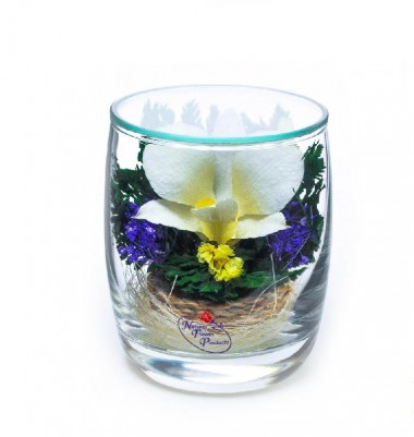 Цветы в стекле: Композиция из натуральных орхидей (арт. SMO3) в подарочной упаковке 200-057 — Egidius.ru