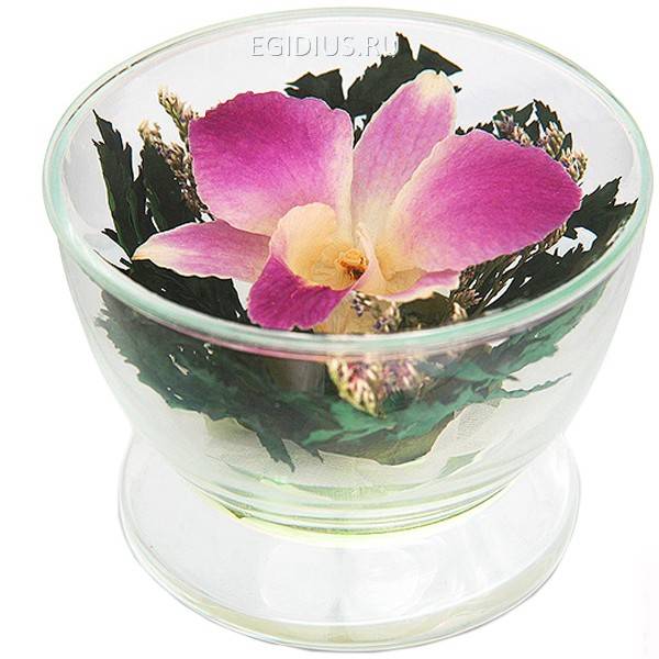 Цветы в стекле: Композиция из красных  роз 200-073 фото 1 — Egidius.ru