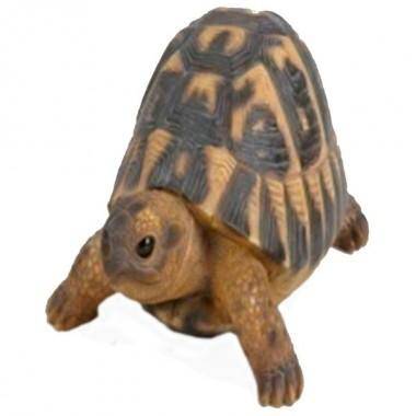 Садовая фигура из полистоуна&quot;Черепашка&quot;, L17 W11,7Н7,7см 81-6655 — Egidius.ru