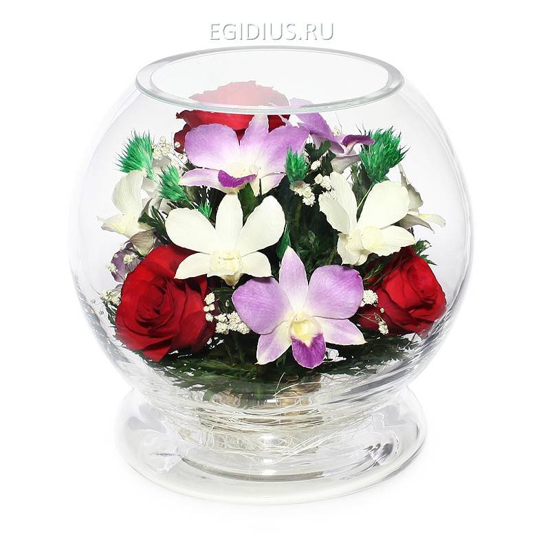 Цветы в стекле: Композиция из натуральных роз и орхидей 200-143 фото 1 — Egidius.ru