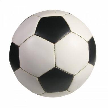 Копилка Мяч L22W22H22 83-0010 — Egidius.ru