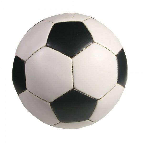 Копилка Мяч L22W22H22 83-0010 фото 1 — Egidius.ru