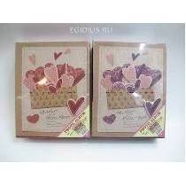 Фотоальбом 200 страниц(10*15),L20W26,5H5,5 cм 2в. 81-0269 фото 1 — Egidius.ru