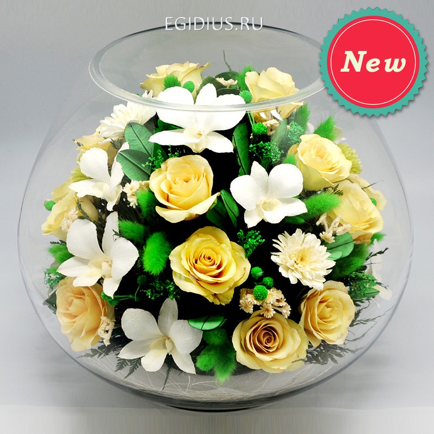 Цветы в стекле: Композиция из роз и орхидей 200-246 фото 1 — Egidius.ru