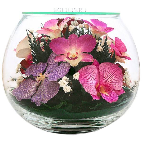 Цветы в стекле: Композиция из орхидей 200-148 фото 1 — Egidius.ru