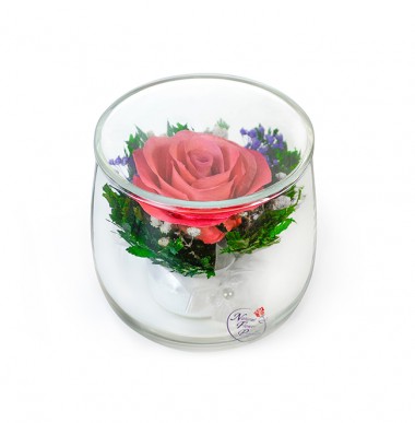 Цветы в стекле: Композиция из розовой розы (арт. SSRp) 200-386 — Egidius.ru