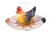 Тарелка для яиц+солонка "курочка" 26*24*10 см. 330-826 фото 1 — Egidius.ru