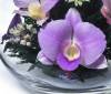 Цветы в стекле: Композиция из орхидей 200-149 фото 3 &mdash; Egidius.ru