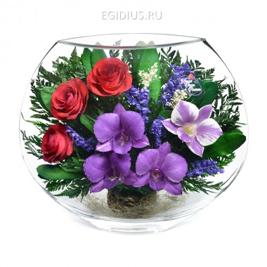 Композиция из роз и орхидей (арт. EMM-09 ) 200-337 — Egidius.ru