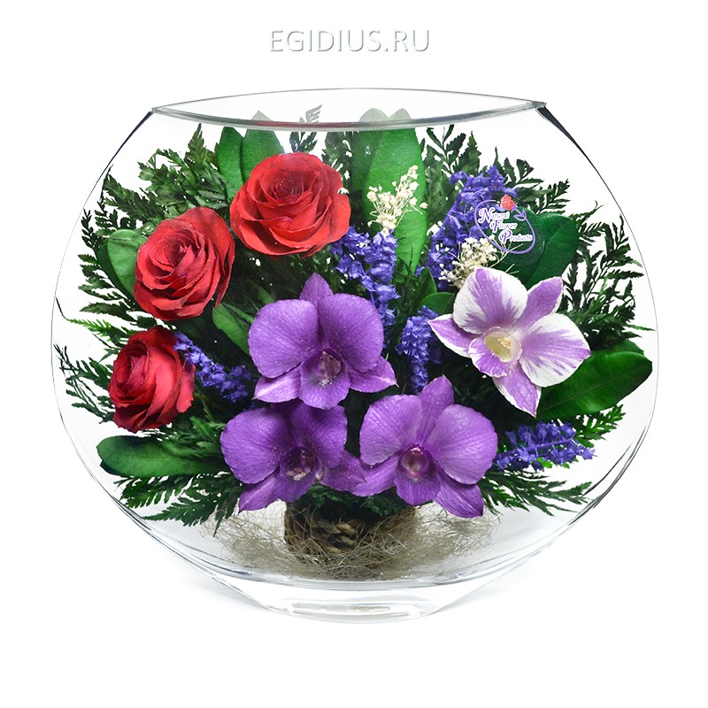 Композиция из роз и орхидей (арт. EMM-09 ) 200-337 фото 1 — Egidius.ru