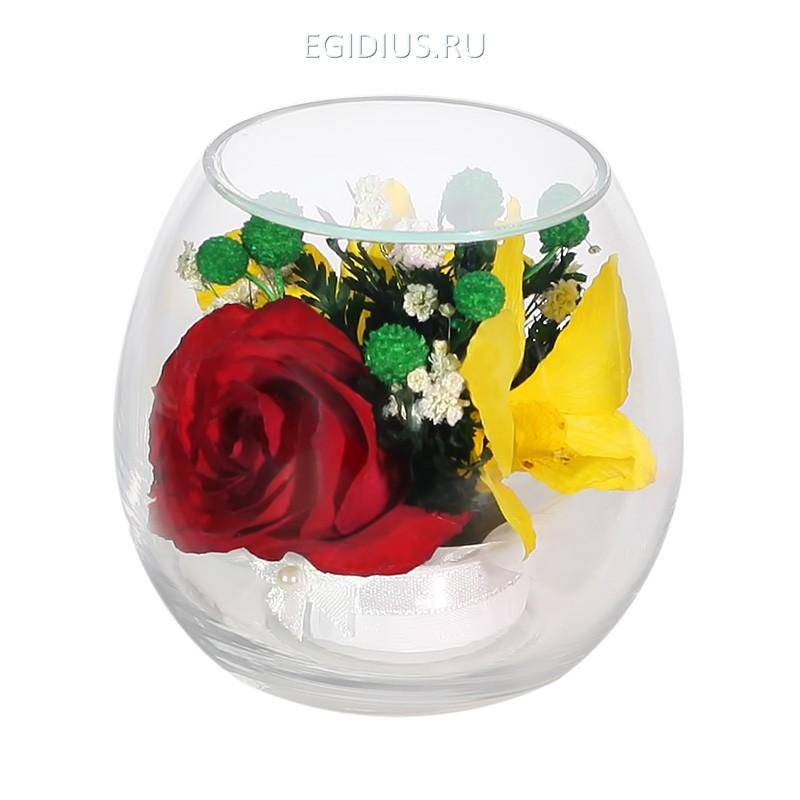 Цветы в стекле: Композиция из роз и орхидей 200-253 фото 1 — Egidius.ru