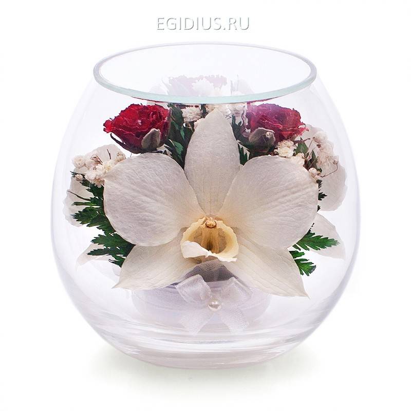 Цветы в стекле: Композиция из  роз и орхидей 200-089 фото 1 &mdash; Egidius.ru