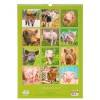 Календарь перекидной, ригель и пружина "Символ года - 2" 2019 год, 34х49см 813-033 фото 3 — Egidius.ru