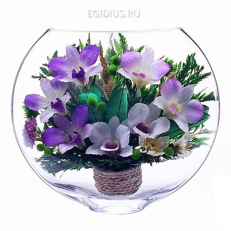 Цветы в стекле: Композиция из орхидей 200-156 фото 1 — Egidius.ru