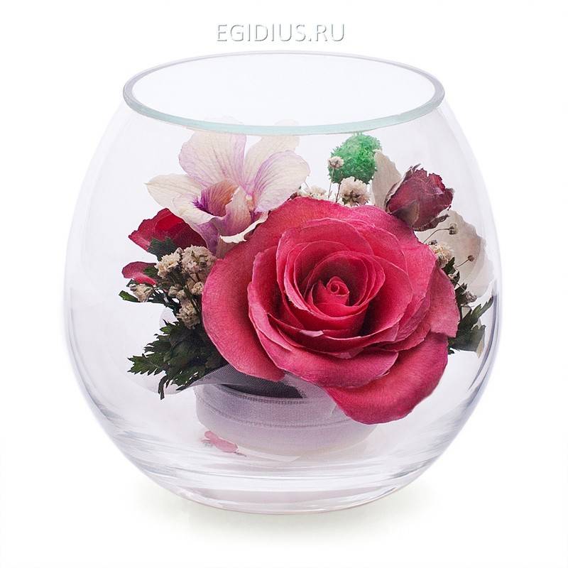 Цветы в стекле: Композиция из  роз и орхидей 200-091 фото 1 &mdash; Egidius.ru