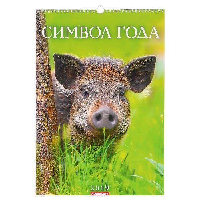 Календарь перекидной, ригель и пружина "Символ года - 3" 2019 год, 34х49см 813-034 фото 1 — Egidius.ru