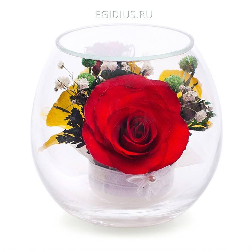 Цветы в стекле: Композиция из  роз и орхидей 200-092 фото 1 — Egidius.ru