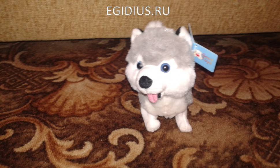 Поющая и танцующая игрушка "Собачка-хаски" (маленькая) 280-821 фото 1 — Egidius.ru