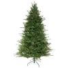 Ёлка искусственная "Кудесница", 213 см, 2691 в. 80-0191 фото 1 — Egidius.ru